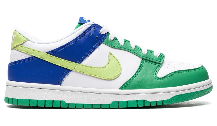 nike-dunk FN6973-100