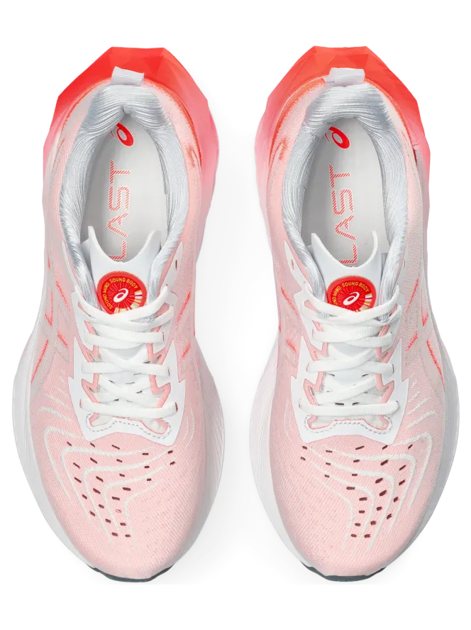 asics-novablast 1011B845.100
