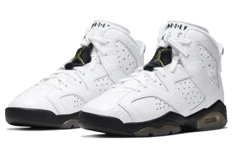 Air Jordan 6 Retro GS Alligator (384665-110)