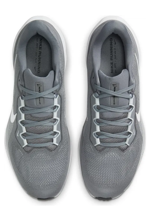 nike-air-pegasus FD2722-009