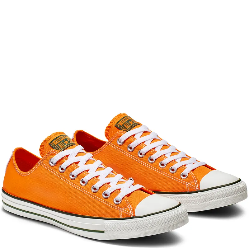 Converse Chuck Taylor All Star Summer Sport Low Top (164413C)