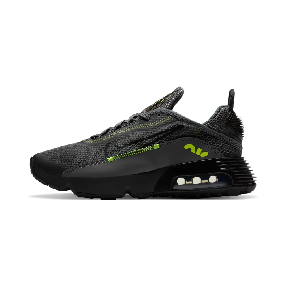 Nike Air Max 2090 Grau (DB2615-001)