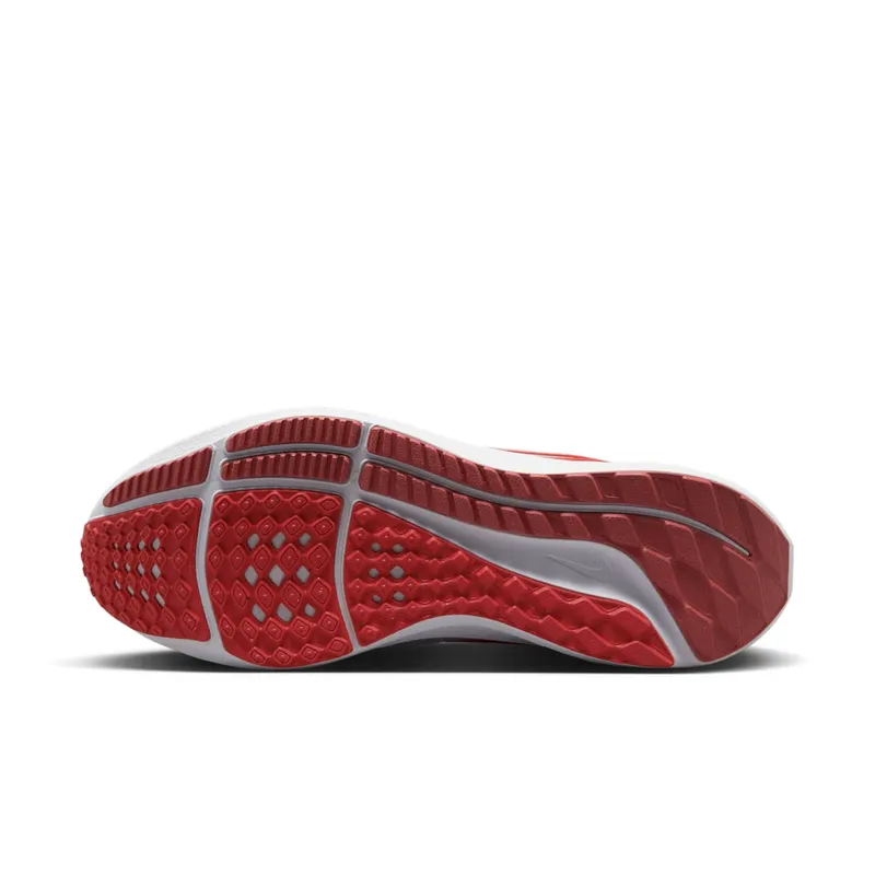 Nike Air Zoom Pegasus 39 “Platinum / Crimson” (DH4071-009)