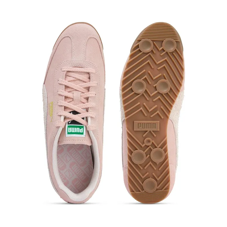 puma-arizona 402362_03