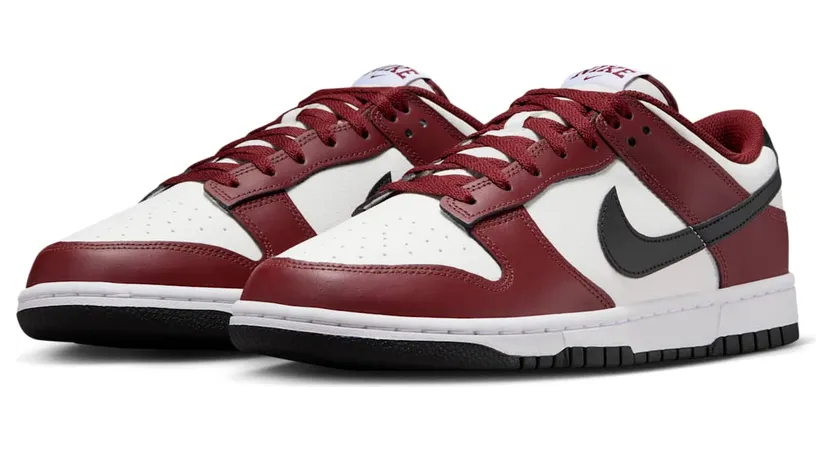 nike-dunk FZ4616-600