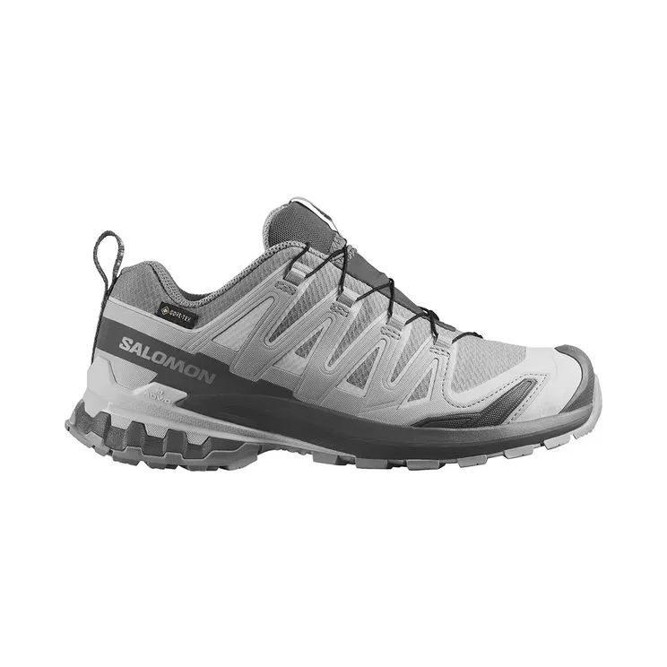 Salomon XA Pro 3D Salomon XA Pro 3D v9 Grey (L45412000)