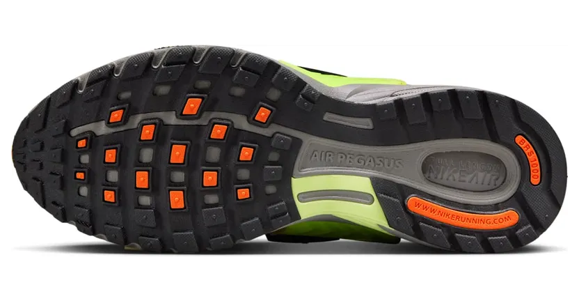 nike-air-pegasus IB0612-005