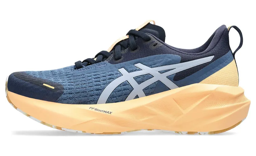 asics-novablast 1012B910-400