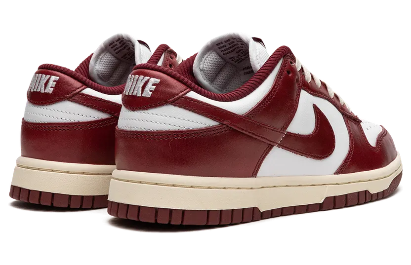 nike-dunk FJ4555-100