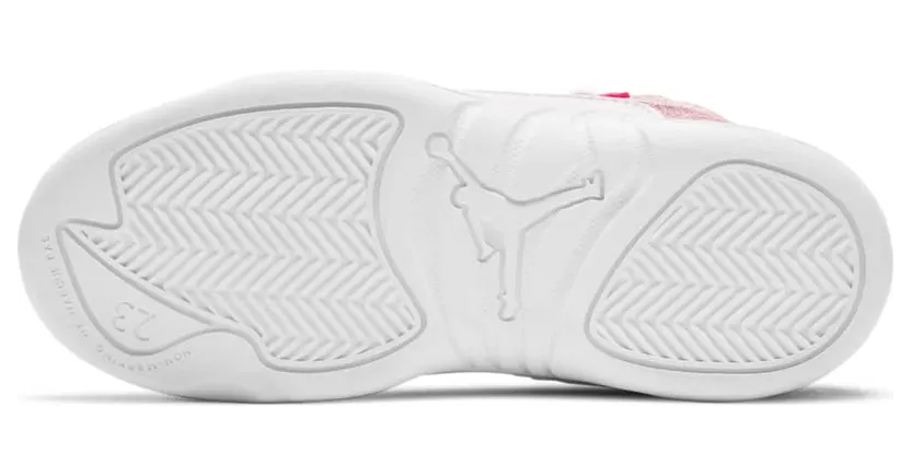 air-jordan-12 510816-101