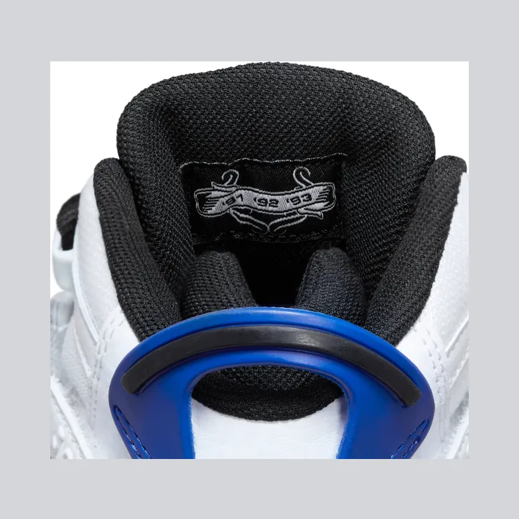 air-jordan-6 323419-142