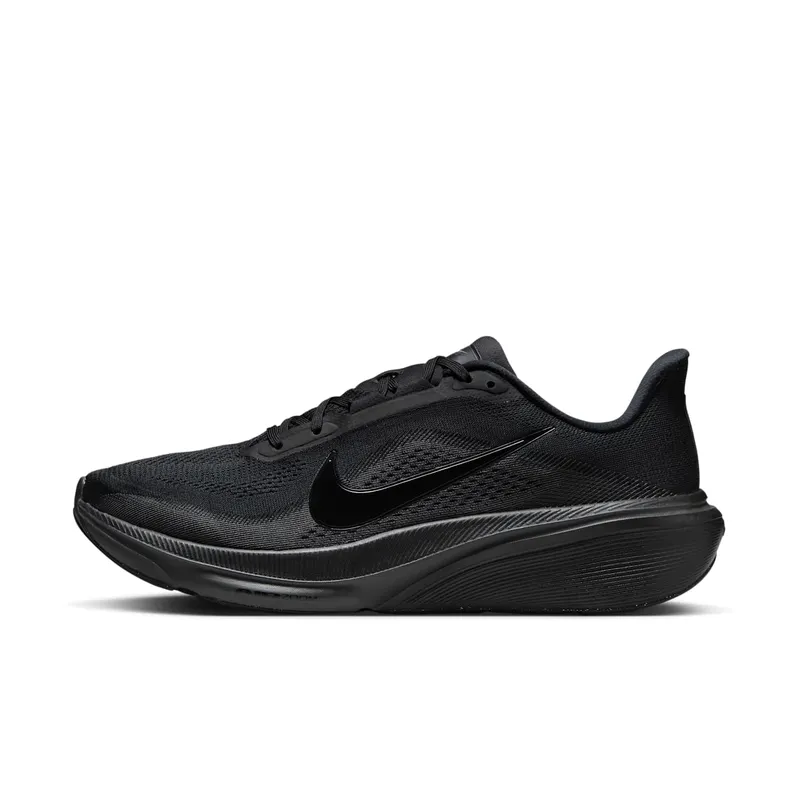 Nike Pegasus Black/Anthracite/Black (IB1873-003)