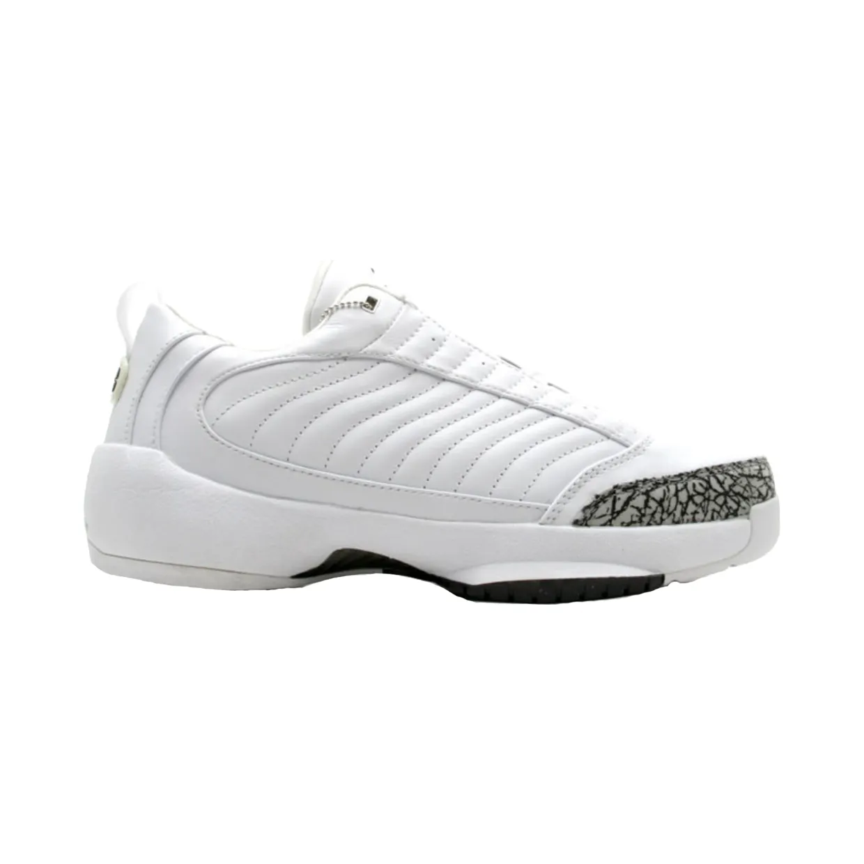 air-jordan-19 308513-111