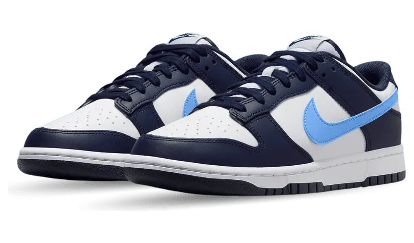 nike-dunk FN7800-400