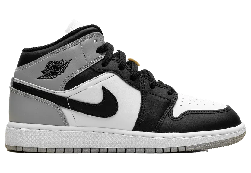 air-jordan-1 DQ8423-101