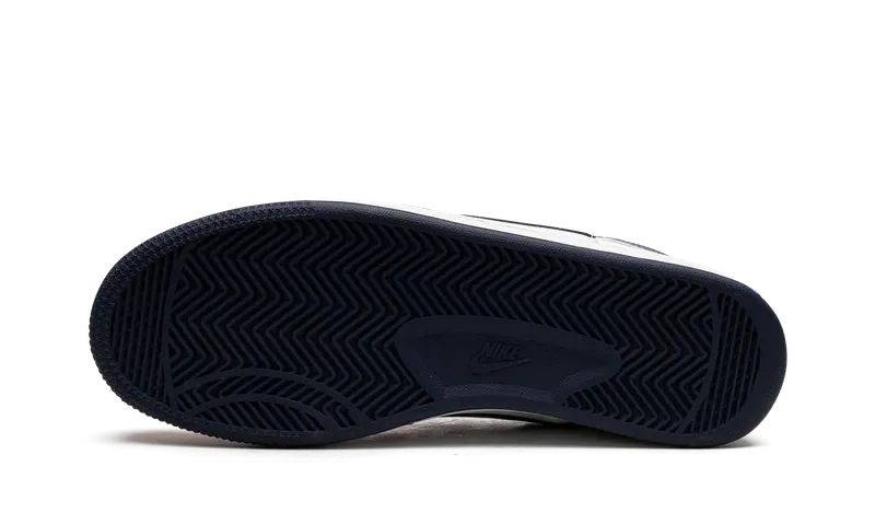 Nike Terminator Low “Olympics” (309436-142)