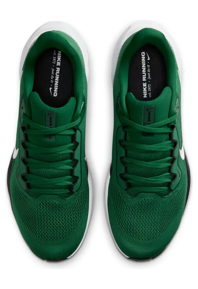 nike-air-zoom IB3207-300