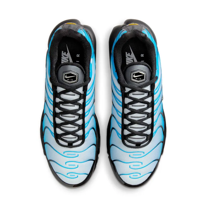Nike Air Max Plus Blue Gradient (FQ0204-010)