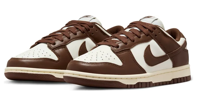 nike-dunk DD1503-124
