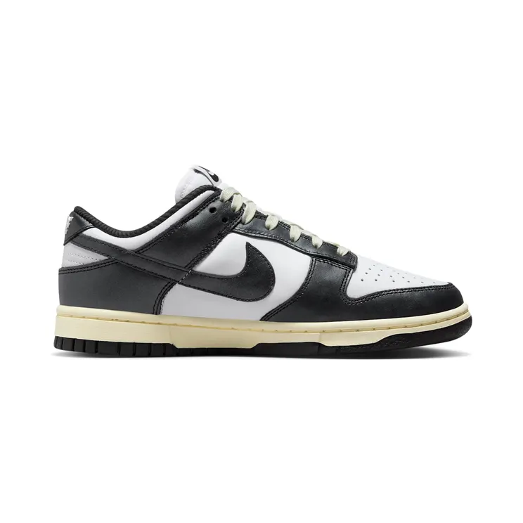nike-dunk FQ8899-100