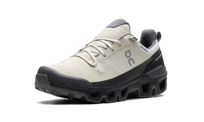 On Running Cloudwander Waterproof “Sand/Black” (73.97667)