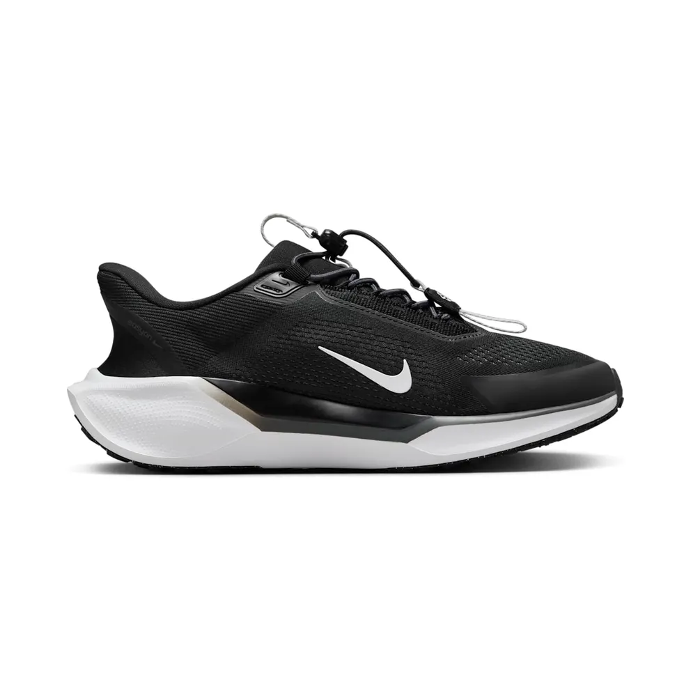 Nike Air Zoom Pegasus 41 EasyOn Black Anthracite Photon Dust White (FQ7844-002)