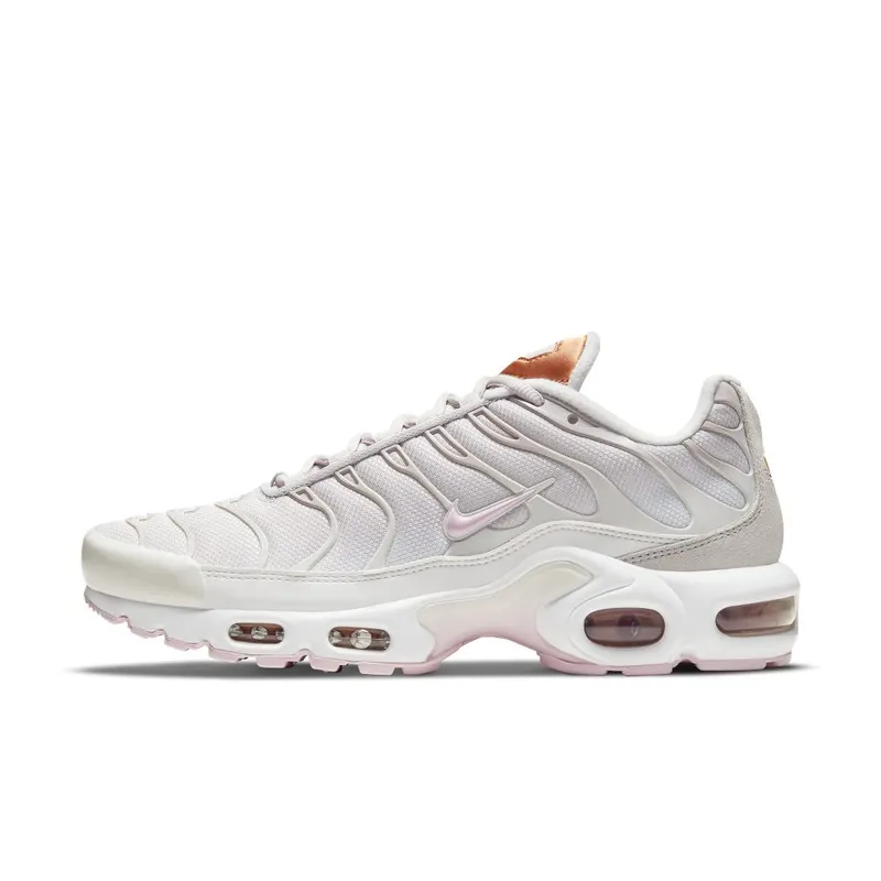 Nike Air Max Plus Grey (DD6612-001)