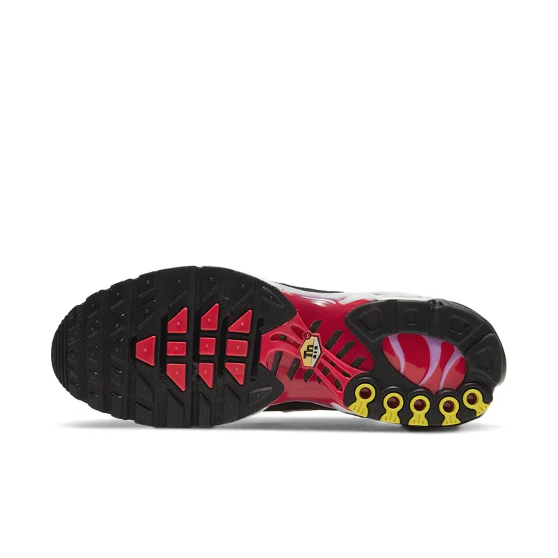 Nike Air Max Plus Sherbert (CZ1651-800)