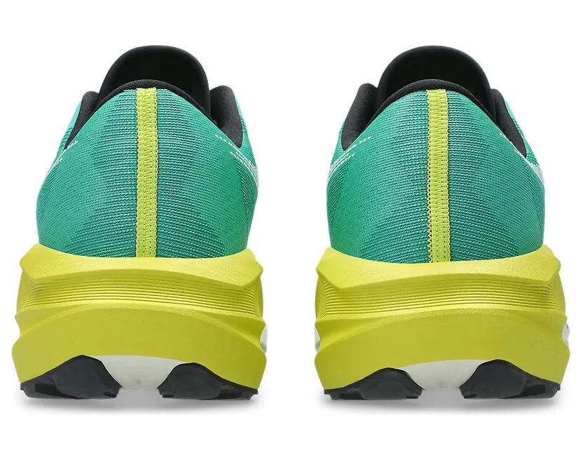 asics-novablast 1011C217-300