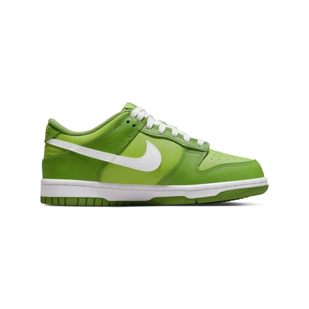 Nike Dunk Low Chlorophyll (DH9765-301)
