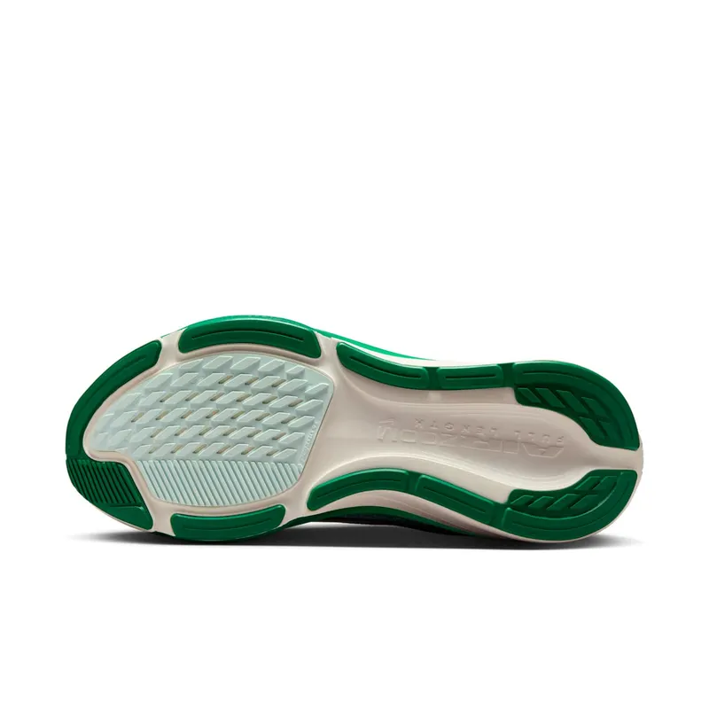 Nike Pegasus White/Malachite/Barely Green/Metallic Silver (IB1881-100)
