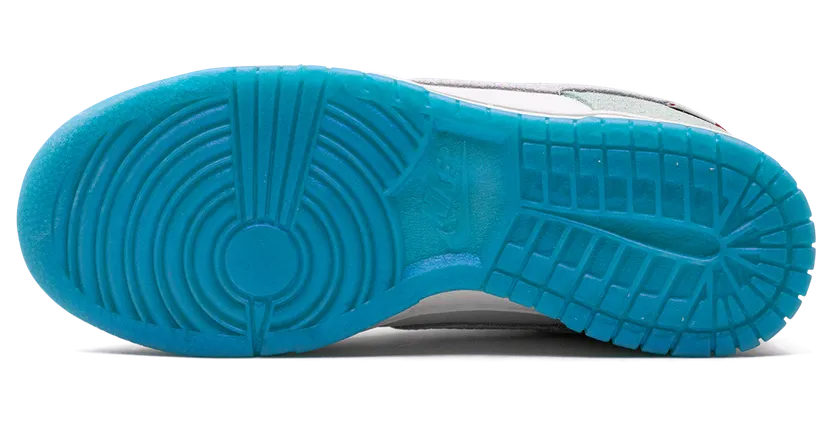 nike-dunk FZ5065-111