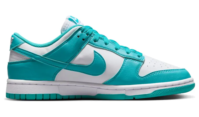 nike-dunk DD1873-105