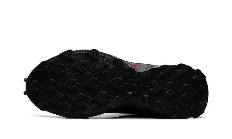 Salomon Alphacross 5 GORE-TEX “Black Ebony” (L47307-500)