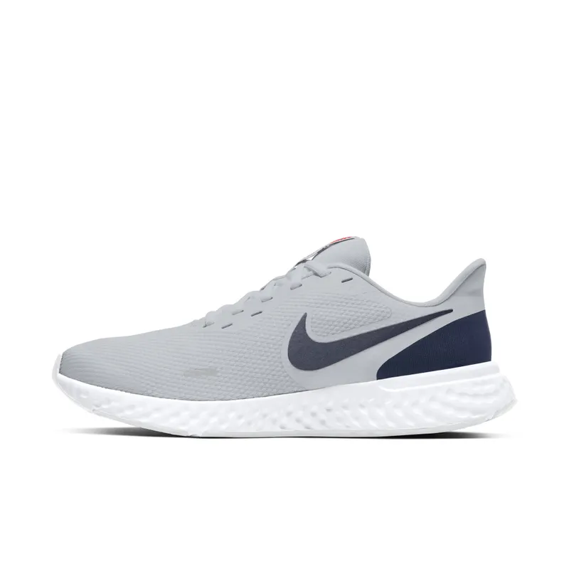 Nike Revolution 5 Grey (BQ3204-018)