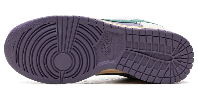 nike-dunk HF5030-030