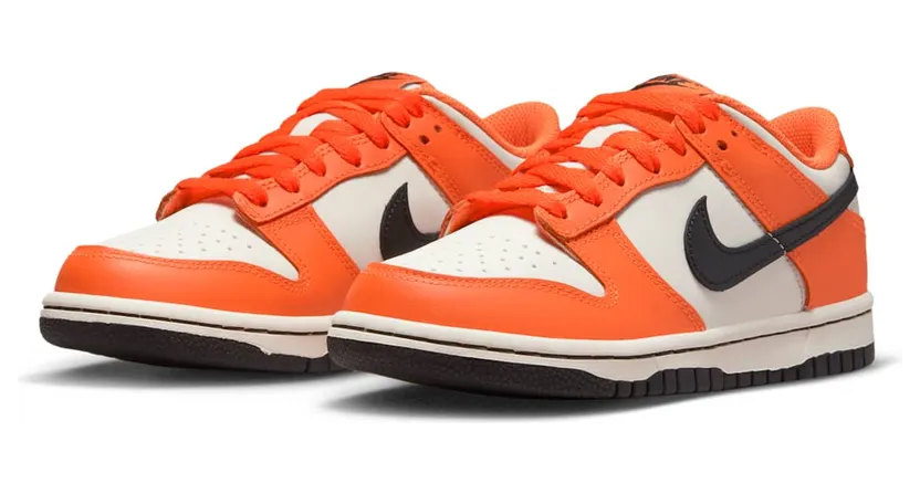 nike-dunk DH9765-003