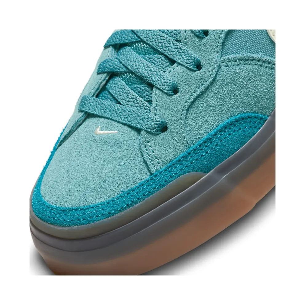 Nike SB Zoom Pogo Plus Noise Aqua (DV5469-401)