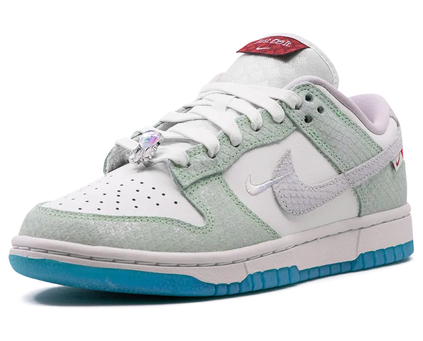 nike-dunk FZ5065-111
