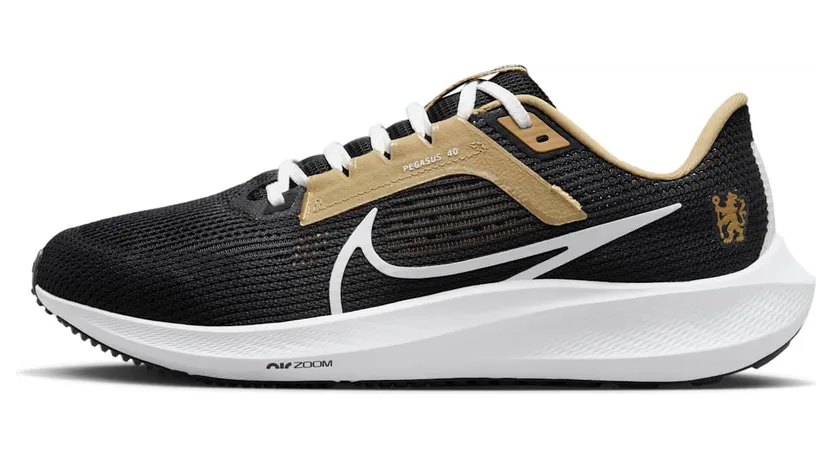 Nike Air Pegasus FQ2982-401