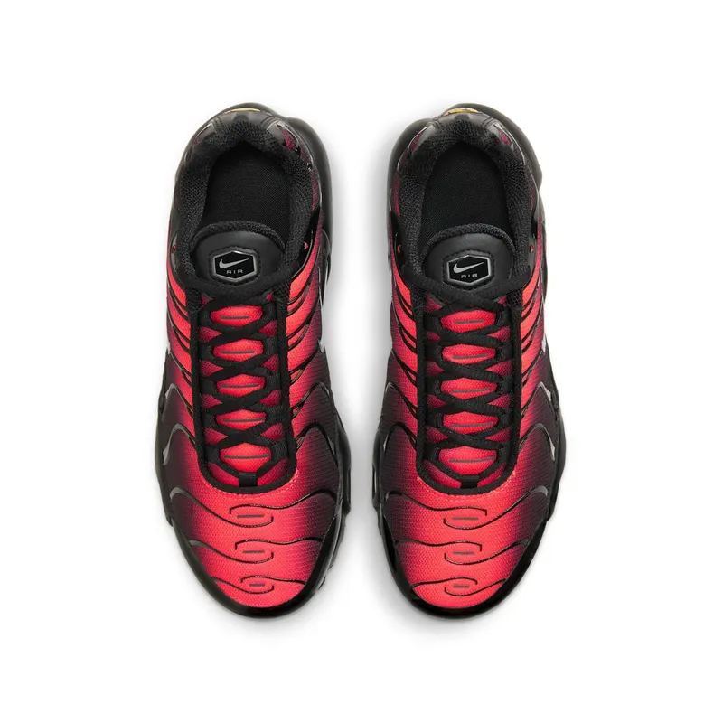 Nike Air Max Plus Black Crimson (DD3229-001)