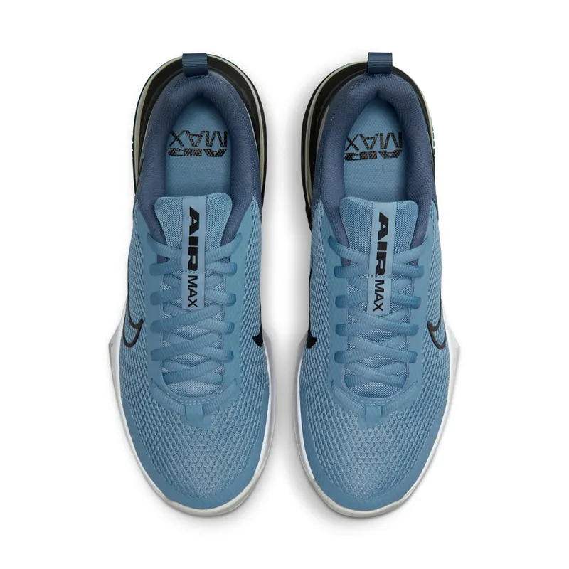 Nike Air Max Alpha Trainer 6 Blue (FQ1833-402)