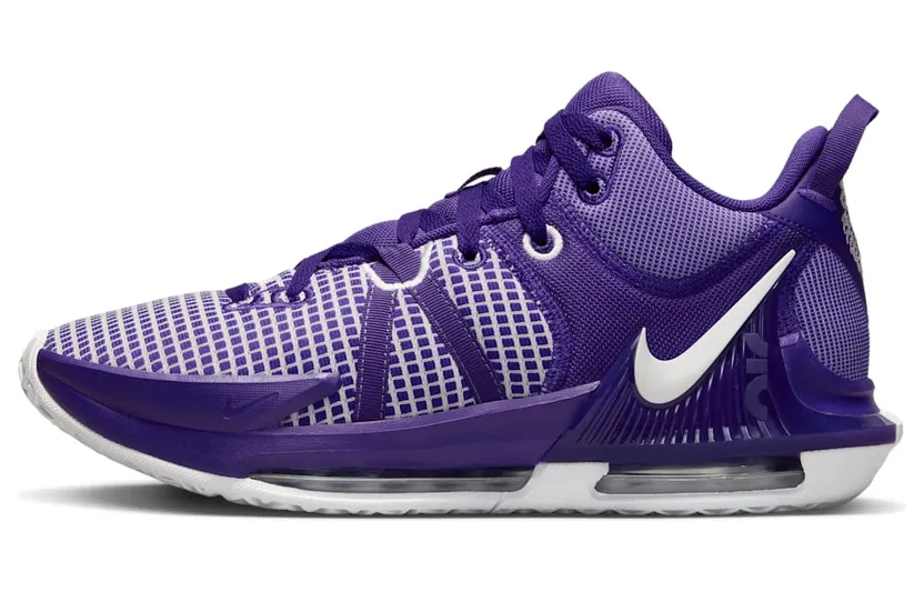Nike LeBron Witness 7 TB Court Purple (DZ3299-500)