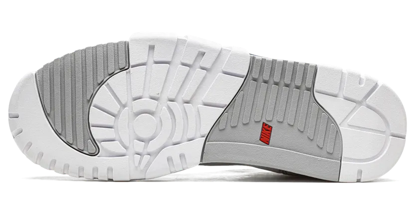 air-jordan-trainer-1 DM0521-101