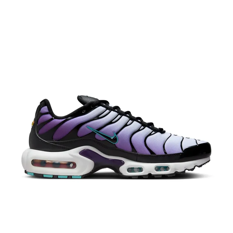 Nike Air Max Plus Reverse Grape (FQ2415-500)
