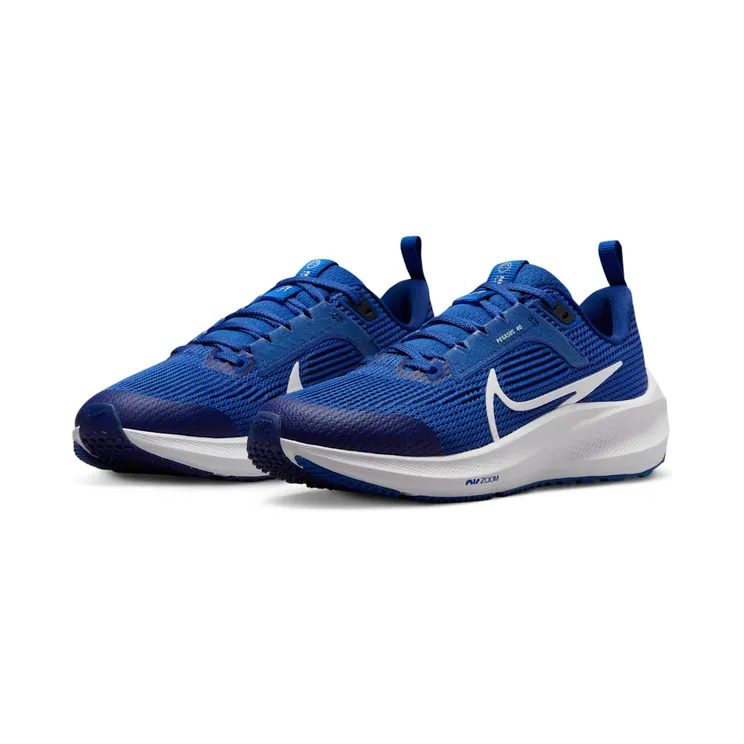 nike-air-zoom DX2498-400
