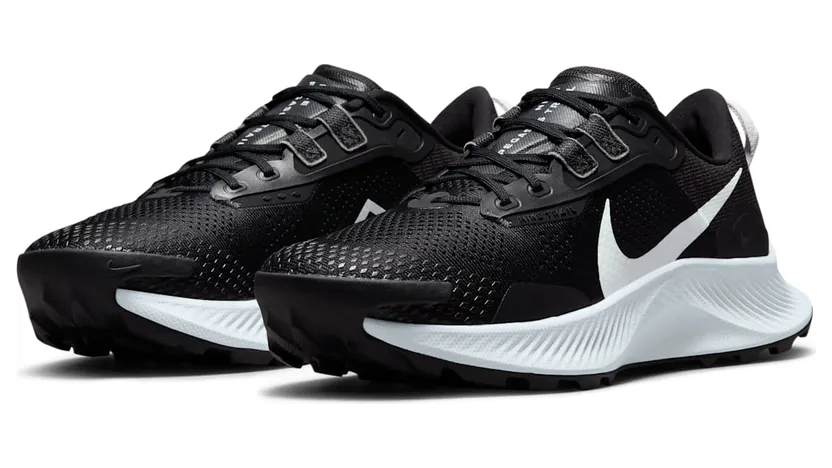 nike-air-pegasus DA8698-001