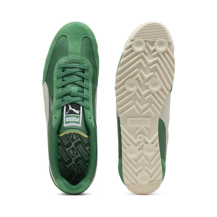 puma-arizona 398682_03