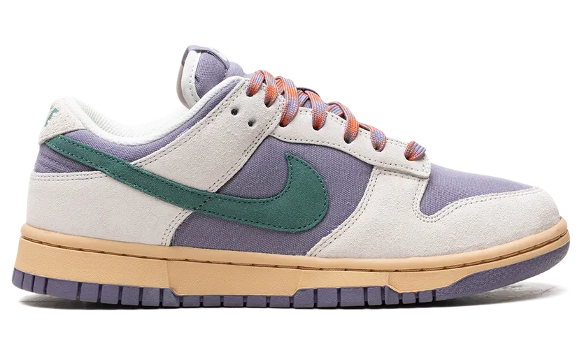 nike-dunk HF5030-030