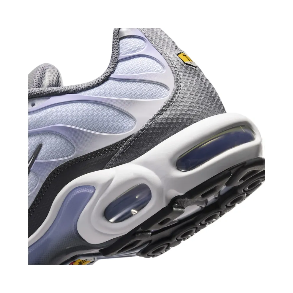 Nike Air Max Plus Smoke Grey/Light Armory Blue/Dark Smoke Grey/White (IV5757-070)